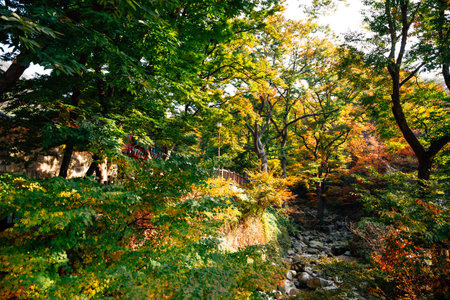 Bukhansan mountain in Seoul, Koreaのeditorial素材