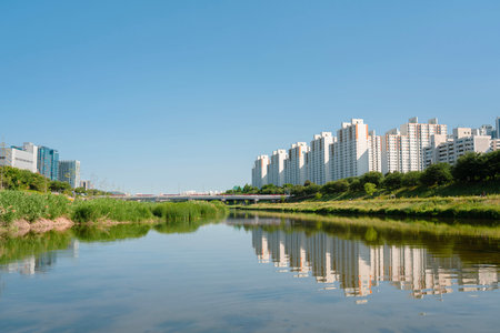 Anyangcheon stream park and apartment buildings in Seoul, Korea