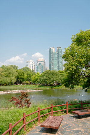 Spring of Boramae park in Seoul, Koreaのeditorial素材