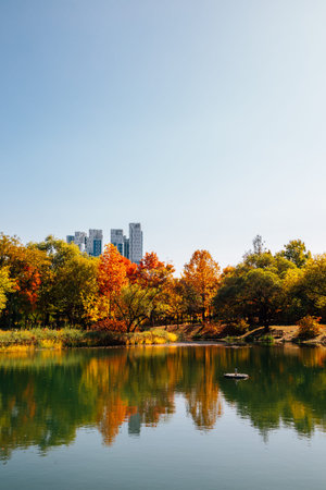 Seoul forest park, pond with autumn colorful trees in Korea
