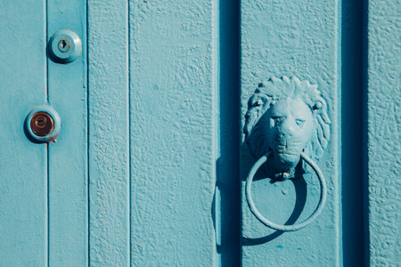 Photo pour Lion door knob and sky blue door - image libre de droit