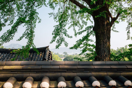 Gyodong Hyanggyo Confucian School in Ganghwa-gun, Incheon, Korea