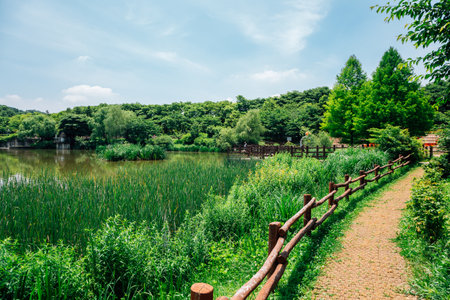 Lake and forest trail at Incheon Grand Park in Koreaのeditorial素材