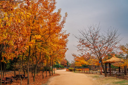 Autumn of Wolmi Park traditional garden in Incheon, Koreaのeditorial素材