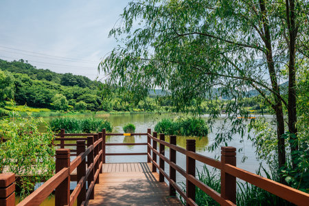 Lake and forest trail at Incheon Grand Park in Koreaのeditorial素材