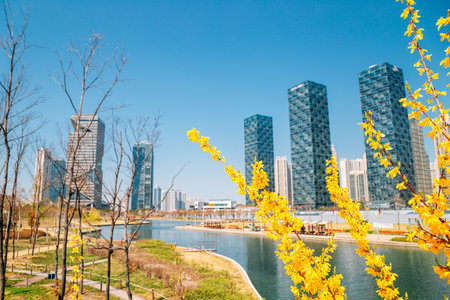 Spring of Songdo Central Park and skyscraper in Incheon, Koreaのeditorial素材
