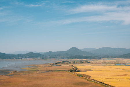 Panoramic view of Suncheonman Bay wetland at autumn in Suncheon, Koreaのeditorial素材