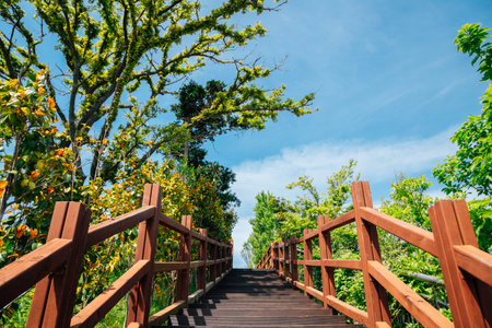 Stairs with green trees at Jasan Park in Yeosu, Koreaのeditorial素材