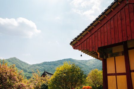 Jogyesan mountain Seonamsa Temple in Suncheon, Koreaのeditorial素材