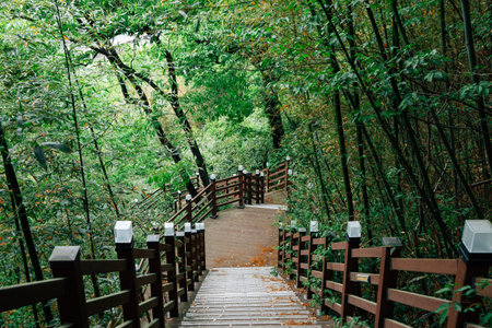 Jukdobong Park green forest in Suncheon, Koreaのeditorial素材