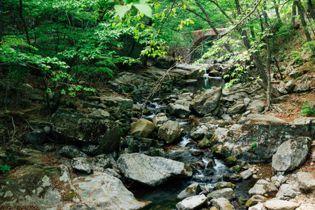 Jogyesan mountain Seonamsa Temple green forest and valley in Suncheon, Koreaのeditorial素材