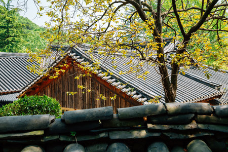 Jogyesan mountain Seonamsa Temple in Suncheon, Koreaのeditorial素材