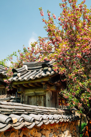 Jogyesan mountain Seonamsa Temple at spring in Suncheon, Koreaのeditorial素材