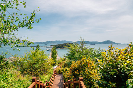 Odongdo Island and sea from Jasan Park in Yeosu, Koreaのeditorial素材