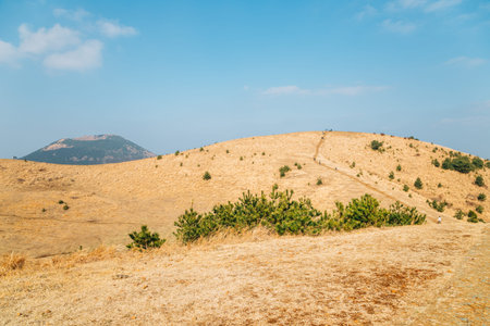 Yongnunioreum volcanic cone autumn nature landscape in Jeju Island, Koreaのeditorial素材