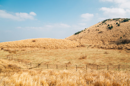 Yongnunioreum volcanic cone autumn nature landscape in Jeju Island, Koreaのeditorial素材