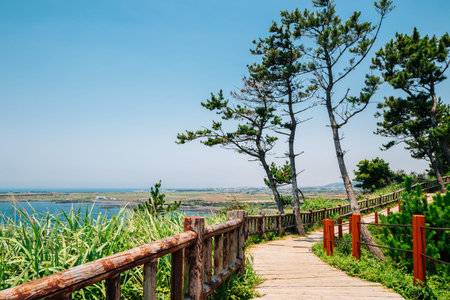 Songaksan Mountain trail with sea in Jeju Island, Koreaのeditorial素材