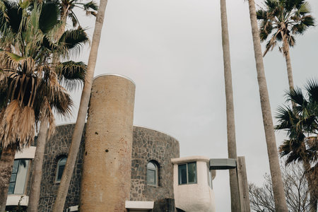 Jeju Olle Trail with tropical palm trees in Jeju island, Korea