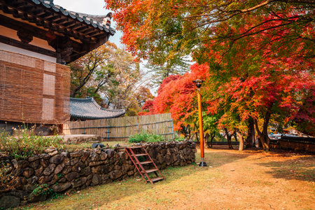 Magoksa temple with autumn maple in Gongju, Koreaのeditorial素材