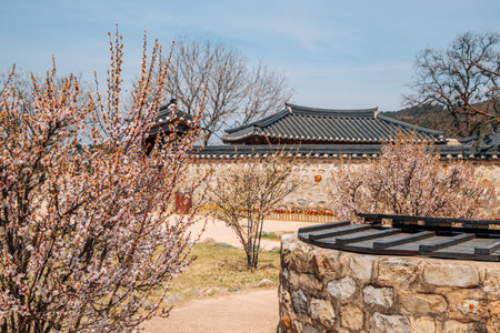 Haemieupseong Fortress at spring in Seosan, Koreaのeditorial素材