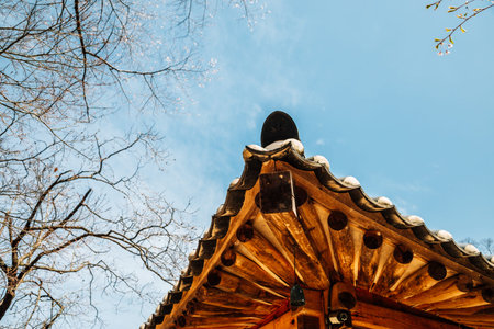 Korean traditional eaves at Gaesimsa Temple in Seosan, Koreaのeditorial素材