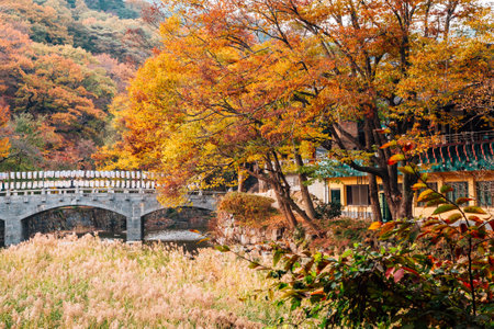 Magoksa temple with autumn maple in Gongju, Koreaのeditorial素材