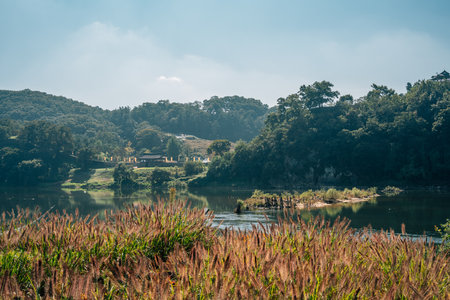 Gongsanseong fortress and Geumgang river park Mir island in Gongju, Koreaのeditorial素材