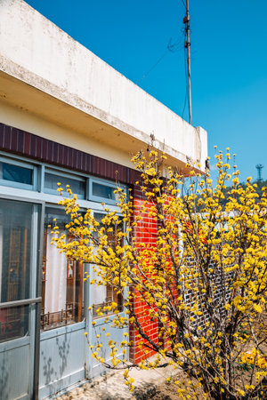 Pangyo old town at spring in Seocheon, Koreaのeditorial素材