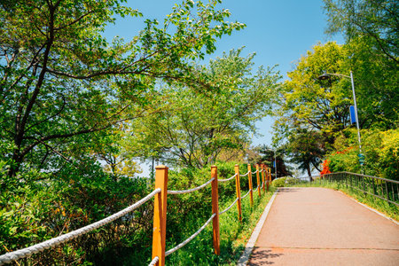 Walkway with green trees at Cheonho lake park in Cheonan, Koreaのeditorial素材