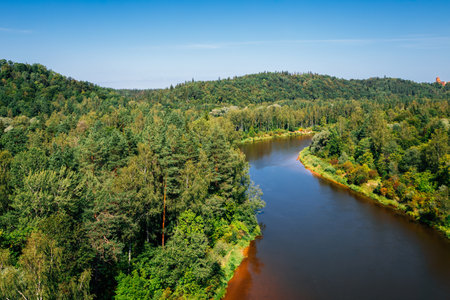 Gauja National Park. Green forest and river in Sigulda, Latviaのeditorial素材