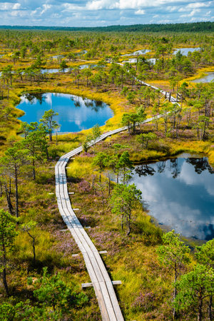 Kemeri National Park Bog trail in Latviaのeditorial素材