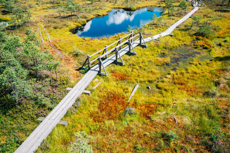 Kemeri National Park Bog trail in Latviaのeditorial素材
