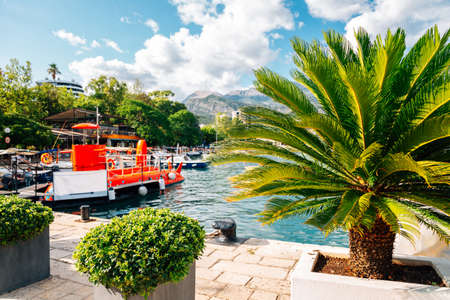 Tropical adriatic sea and harbor in Budva, Montenegroのeditorial素材