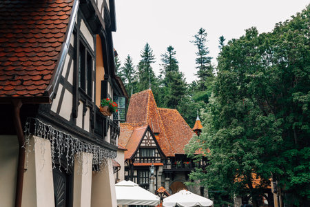 Old houses with green trees near Peles Castle in Sinaia, Romaniaのeditorial素材