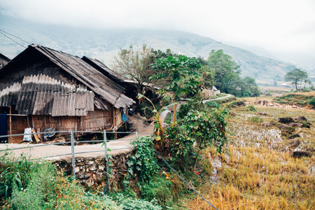 Lao Chai countryside village in Sapa, Vietnamのeditorial素材