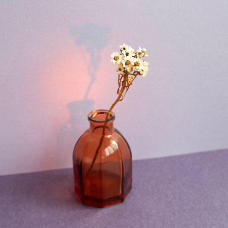 Vase of dry flower on table. purple background. home interiorの写真素材