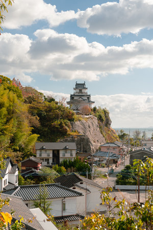 View of Kitsuki castle and old town in Oita, Japanのeditorial素材