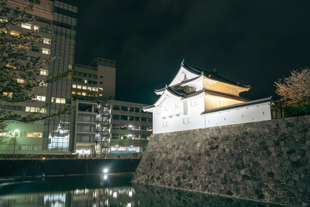 Sunpu Castle Park night scenery in Shizuoka, Japanのeditorial素材