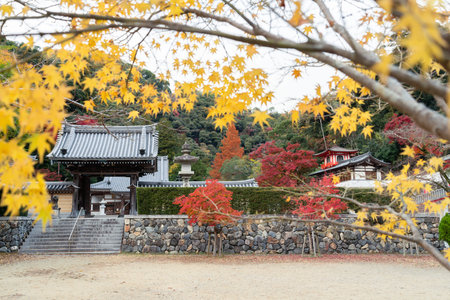 Minoh Park Ryuanji Temple with autumn maple in Osaka, Japan