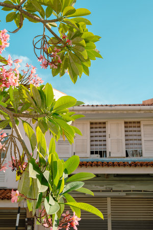 Georgetown old house with flowers in Penang, Malaysiaのeditorial素材