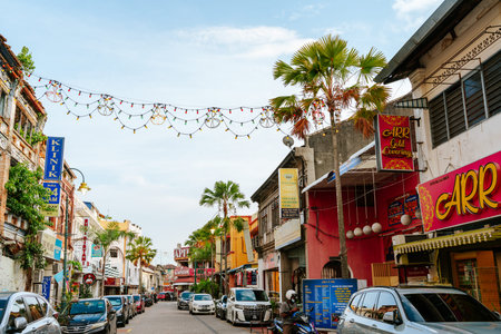 Penang, Malaysia - July 5, 2023 : Georgetown Penang Little India street with palm tree