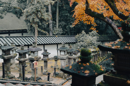 Nara Deer Park autumn temple street in Japanのeditorial素材