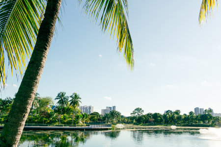 Taman Tasik Titiwangsa park, lake and palm tree in Kuala Lumpur, Malaysiaのeditorial素材