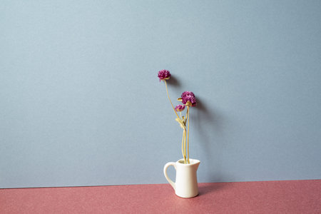 Home interior. White vase of purple dry flower on red table. gray wall background