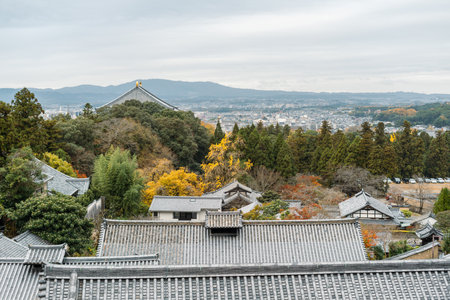Panoramic view of Nara park traditional temple at autumn in Nara, Japanのeditorial素材