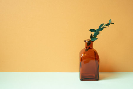 Brown glass vase of eucalyptus leaf on mint green table. orange wall backgroundの写真素材