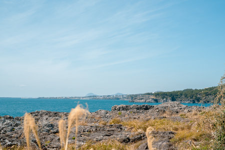 Seogwipo Saeseom seascape in Jeju island, Koreaのeditorial素材