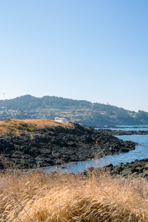 Seascape winter nature scenery in Jeju Island, Koreaのeditorial素材