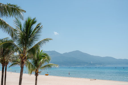 My Khe Beach with palm trees in Da Nang, Vietnamのeditorial素材