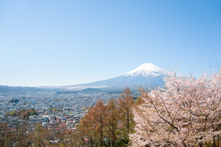 Arakurayama Sengen Park and Fuji Mountain, Shimoyoshida city view with cherry blossoms in Yamanashi, Japanのeditorial素材